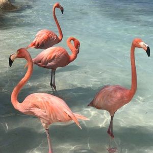 Meet your Posher, Micaela